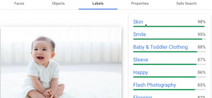 Google-Cloud-Vision-API Google-Cloud-Platform 赤ちゃん 画像解析 Labels